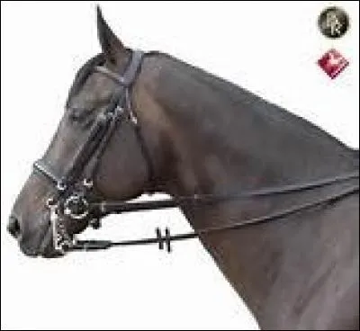 Quelle est la différence entre la rêne directe et la rêne contraire ?