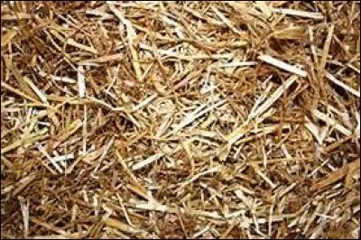 Que laisse-t-on quand on fait une litière en hiver ?