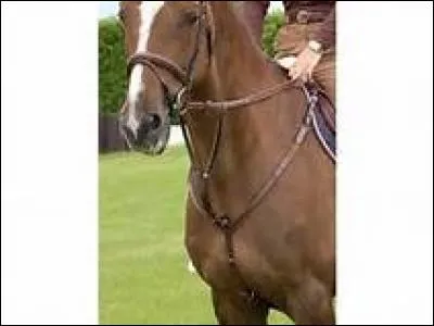 L'équipement supplémentaire qui n'existe pas est ...