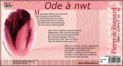 A qui nwt a-telle usurpé l'identité ?