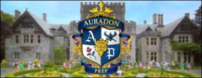 Quels sont les couleurs d'Auradon ?