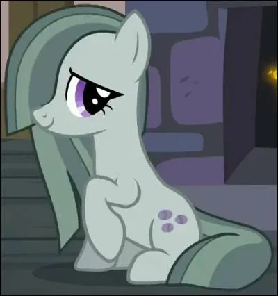 Comment s'appelle ce poney ?