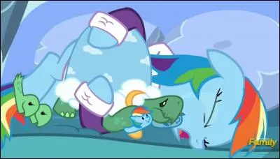 Pourquoi Rainbow Dash ne veut-il pas que Tank hiberne ?