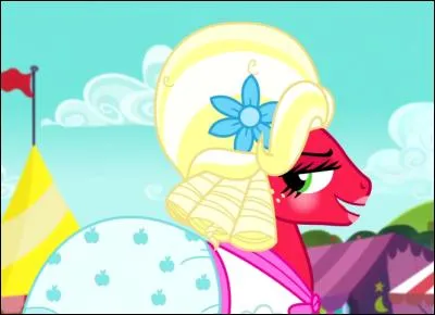 Pourquoi dans cet épisode Big Macintosh s'est-il habillé en fille ?