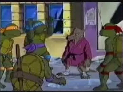 Comment s'appelle le rat qui est le maître des quatre tortues ninja ?