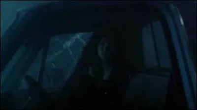 Qui a essayé de sauver Elena lors de l'accident de voiture ?