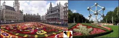 Précisons simplement que cet hymne existe en cinq interprétations différentes. Il a été créé le 27 août 1830 et sa version actuelle date de 1860. C'est un chant révolutionnaire qui est devenu hymne national.
Quel est ce pays et quel est son hymne ?