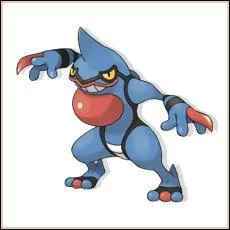 Quel est ce Pokmon ?