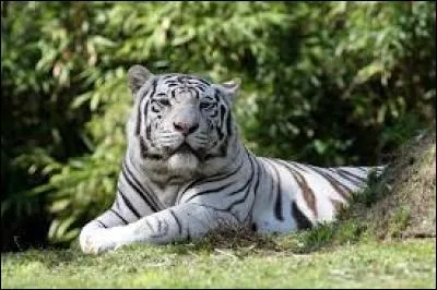 Combien dure à-peu-près un épisode ?