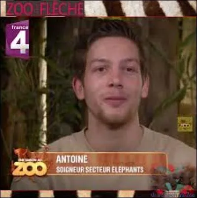 Est-ce vrai qu'Antony s'occupe du secteur lodge ?