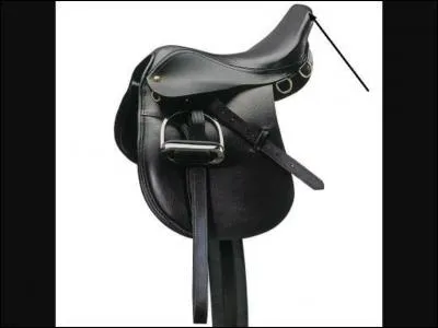 Quelle est cette partie de la selle ?