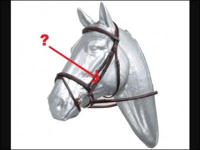 Quelle est cette partie du filet ?