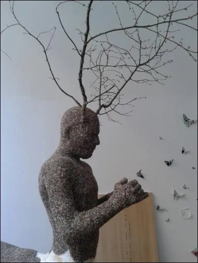 Apollon changea ce jeune homme en arbre pour l'apaiser, car il était inconsolable après avoir abattu par accident un cerf auquel il vouait une profonde affection. Qui est-il ?