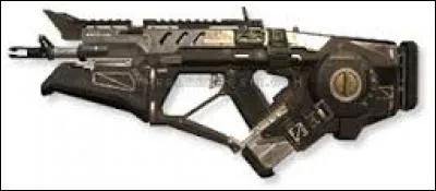 Quelle est cette arme ?