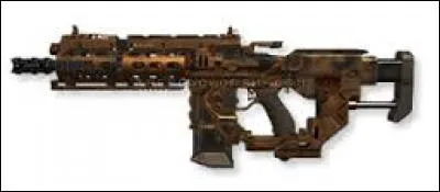 Quelle est cette arme ?