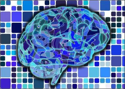 N'oubliez pas de lire les quiz en entier ! Quelle est la réponse à cette question ?