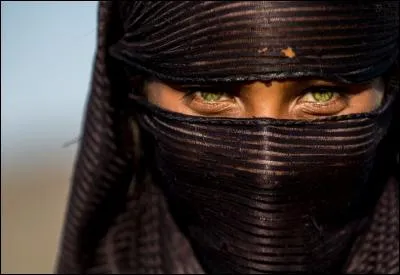 Il serait dommage de ne pas protéger de tels yeux d'un voile qui n'a rien de religieux à Jaïpur. Comment se nomme cet état, le plus grand de l'Inde ?