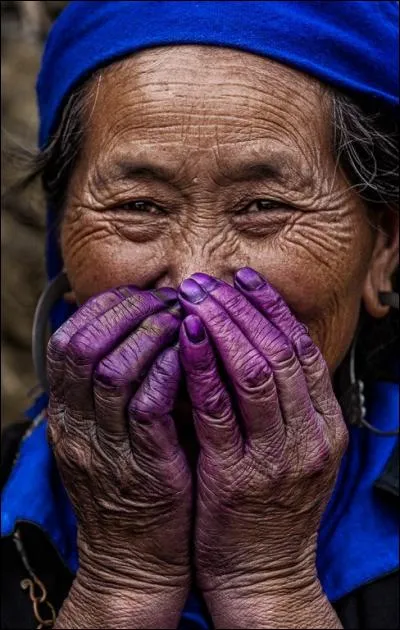 Mais pourquoi cette petite dame de Mu Can Chai, tout au nord du Vietnam, a-t-elle les doigts violets ?