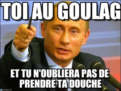 Mafia49 est un grand fan d'histoire. Qu'est-ce que le Goulag ?