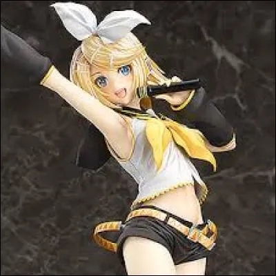 Combien Rin mesure-t-elle ?