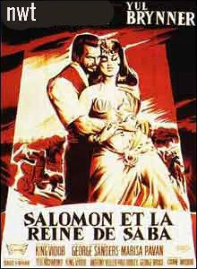 Pour qui se prend nwt ?