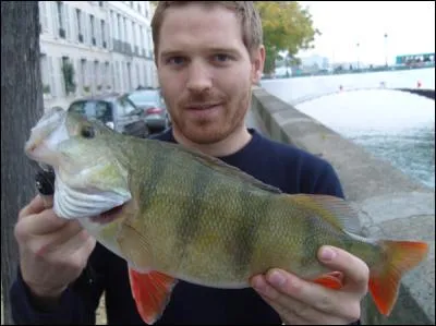 Quel poisson ne vit pas dans la Seine ?