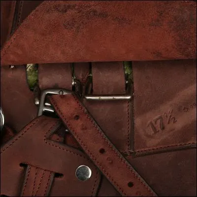 Comment se nomme ce qui tient l'étrivière ?