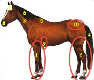 Comment s'appelle la partie 5 ?