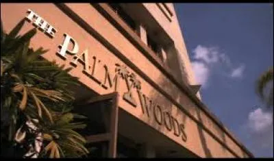 Qu'est-ce que le Palmwoods ?