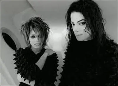 Le clip vidéo musical le plus cher du monde est celui de la chanson "Scream" de Michael Jackson et Janet Jackson.