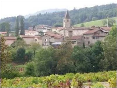 Village rhônalpin dans le Beaujolais, Les Ardillats se situent dans le département ...