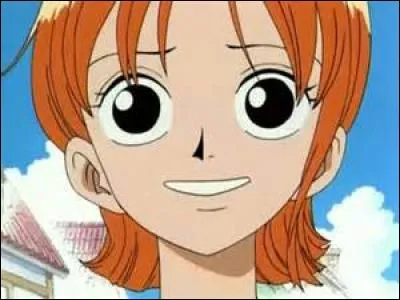 Qui est la navigatrice de l'équipage de Luffy ?