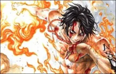 Quel est le pouvoir d'Ace ?