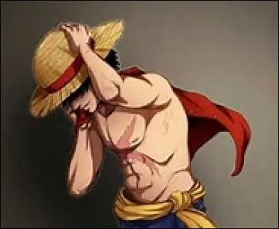 À qui était le chapeau de paille de Luffy ?