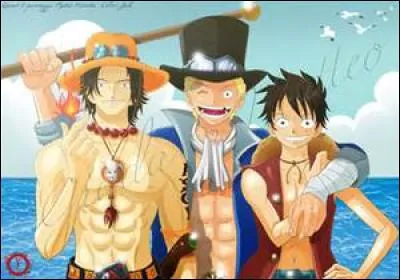 Qui sont les demi-frères de Luffy ?