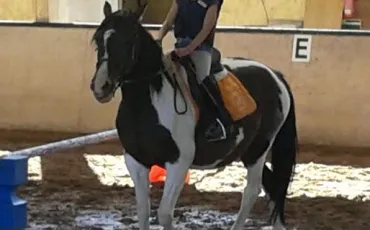 Quiz Galop 1