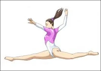 Comment s'appelle cette figure ?