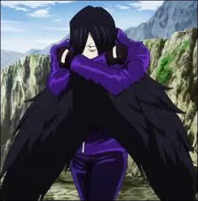 C'est la constellation du cygne.