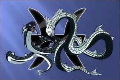 Ces sont les représentants de l'esprit du poisson.