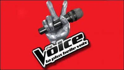 Vrai ou faux ? L'émission "The Voice, la plus belle voix" passe sur France 2.