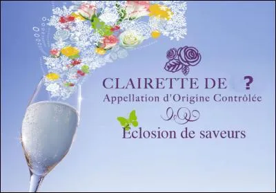 Le mot commence par Ver...