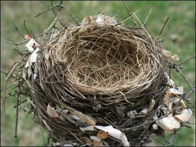 Le mot commence par Ver...