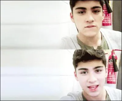 Qu'est-ce que Zayn aimerait-il faire le plus au monde ?