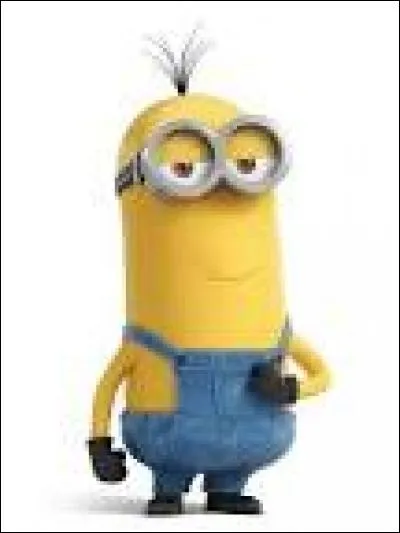 Comment s'appelle ce Minion ?