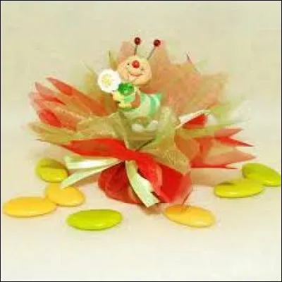 Arbuste tropical de la famille des liliacées :