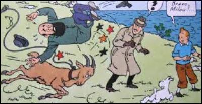 Dans quelle aventure de Tintin, une chèvre vient en aide et sauve la vie de Tintin ?