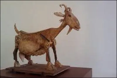 Quel était le nom de la chèvre de Pablo Picasso ?