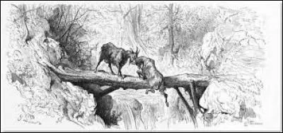 Qui a écrit une fable appelée "Les Deux Chèvres" ?