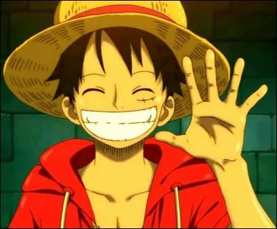 Quel âge a Luffy, après l'ellipse des deux ans ?