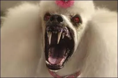 Qui est ce monstre ?